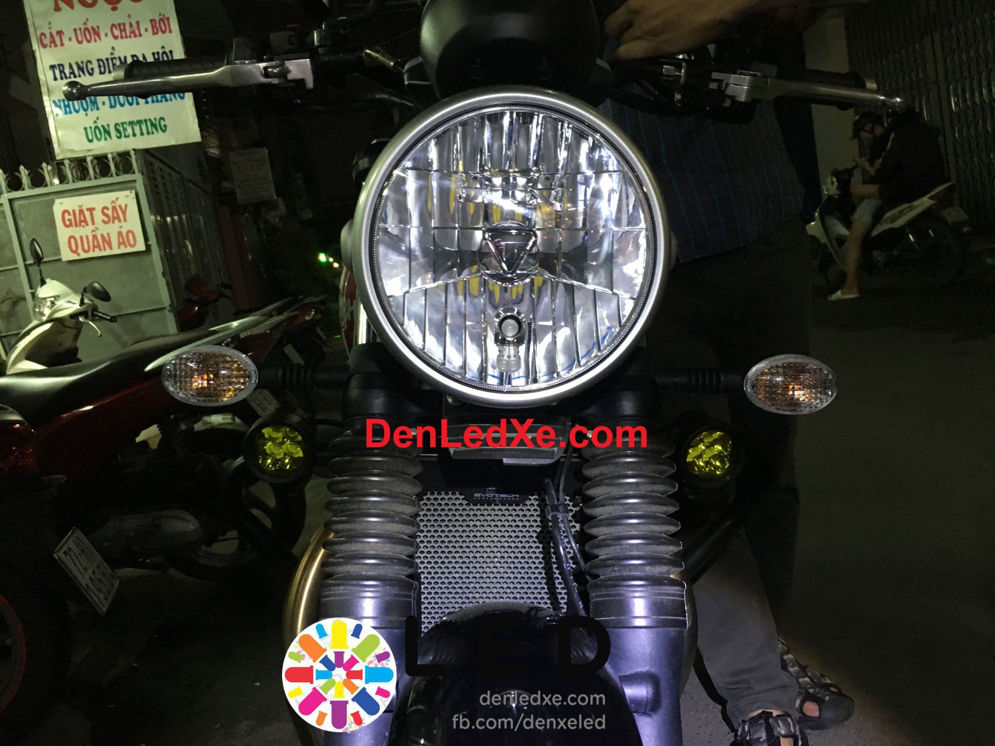 Bóng Đèn Led Xe ,Đèn Trợ Sáng Triumph Siêu Sáng Chính Hãng