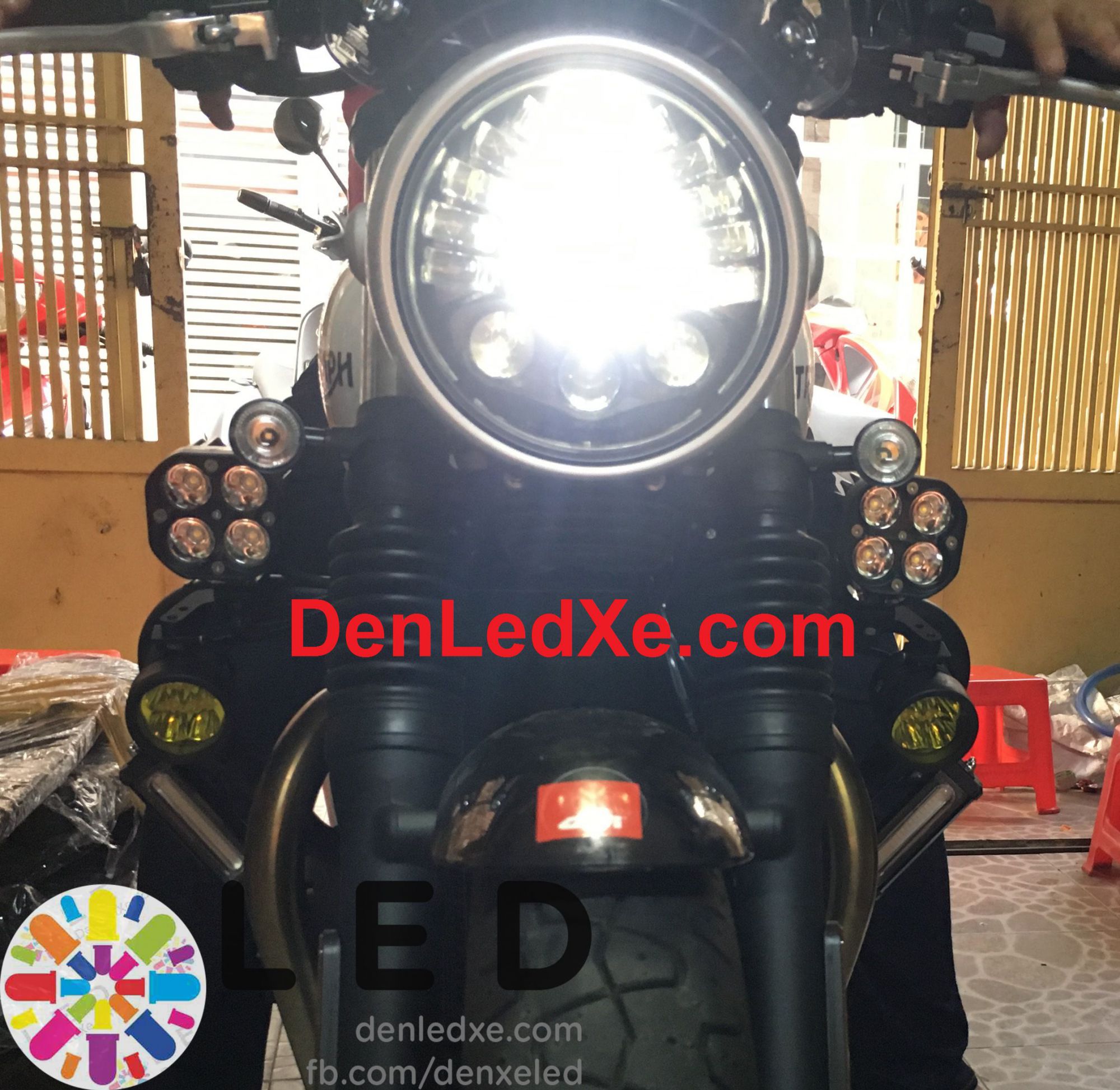 Bóng Đèn Led Xe ,Đèn Trợ Sáng Triumph Siêu Sáng Chính Hãng